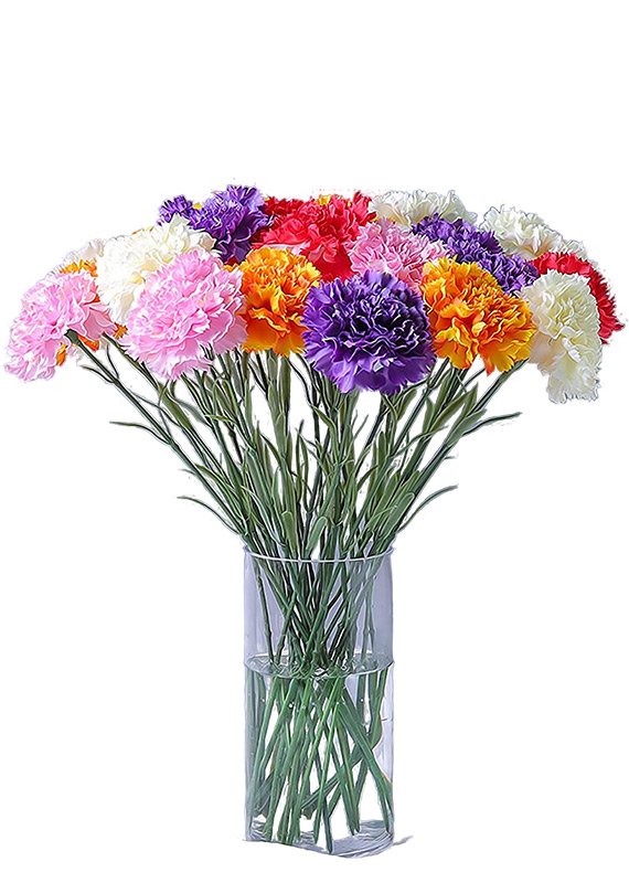 Букет разноцветных гвоздик