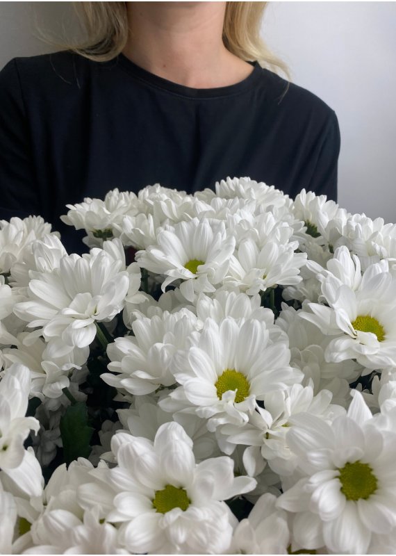 Хризантема кустовая Бакарди