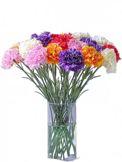 Гвоздика микс, 60см