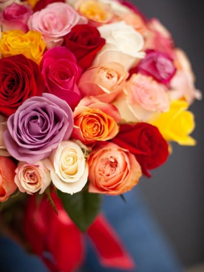 Роза кустовая 60 см микс